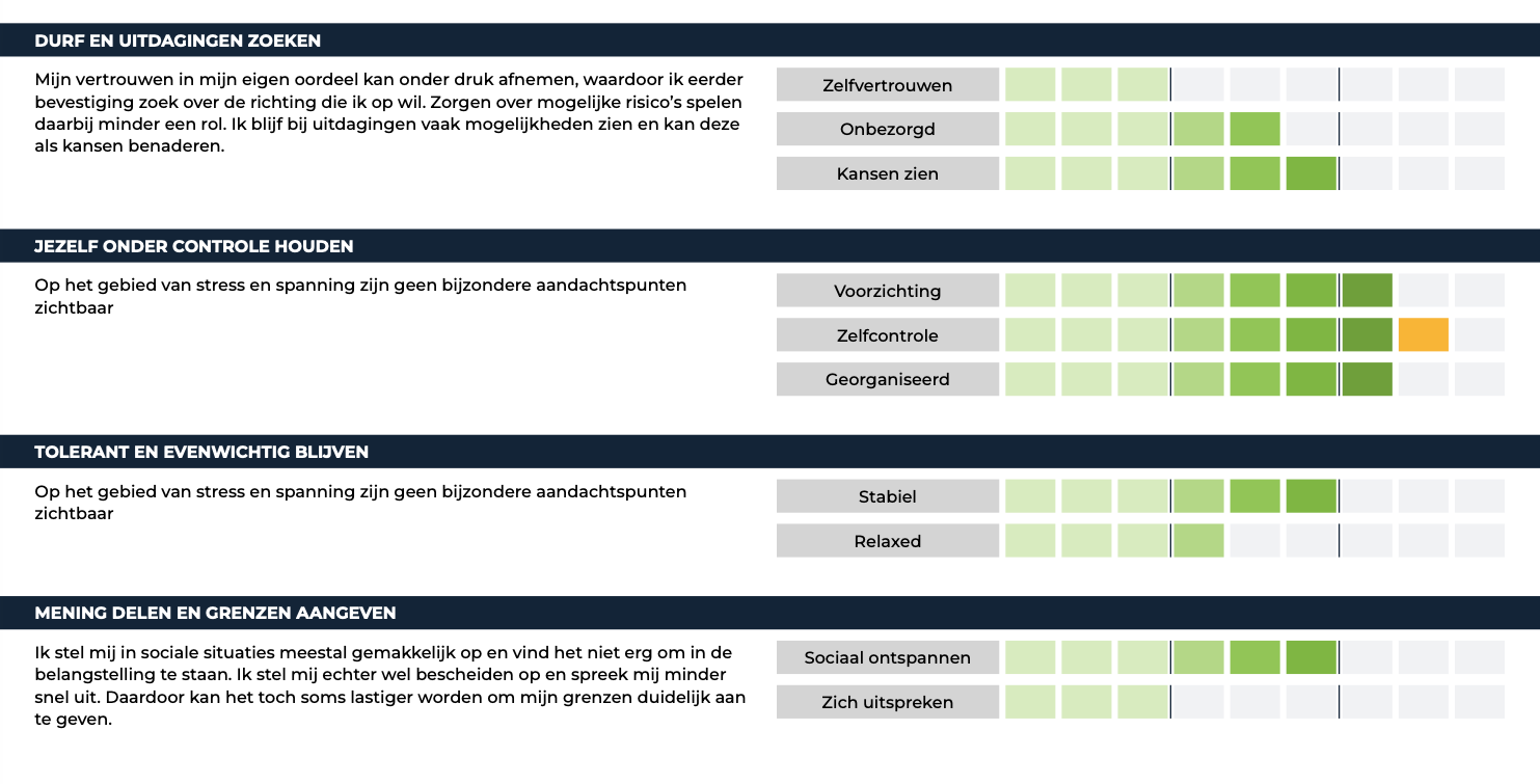 Report example about stress and resilience
