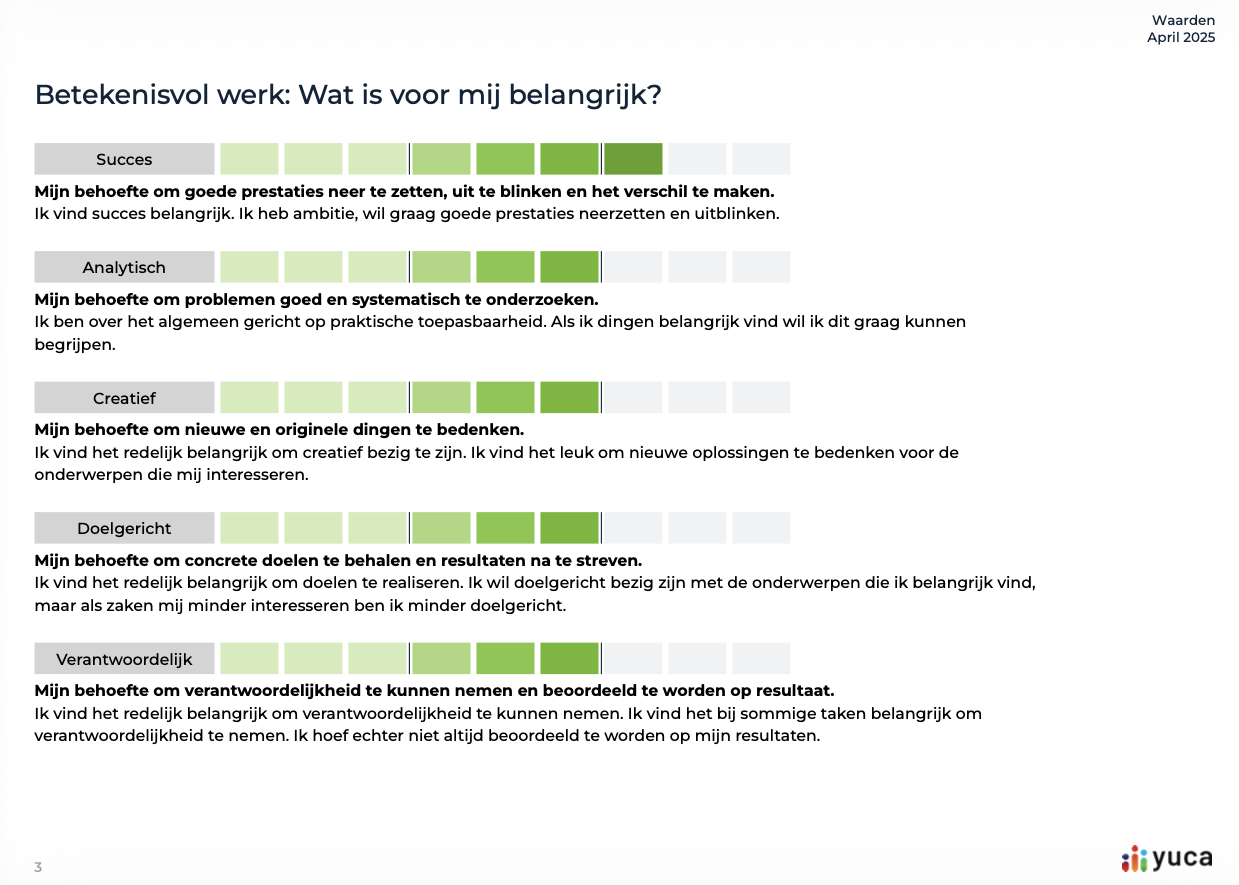 Rapportvoorbeeld over persoonlijke waarden en betekenisvol werk